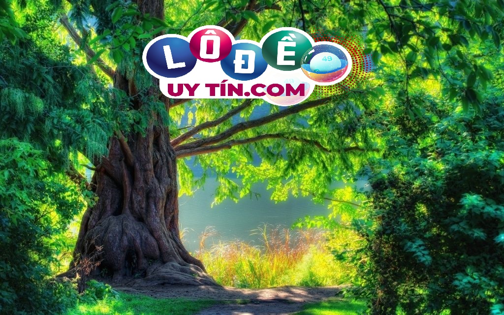 Nằm mơ thấy cây cổ thụ đánh con gì, là điềm tốt hay xấu? 26 Nằm mơ thấy cây cổ thụ đánh con gì, là điềm tốt hay xấu?