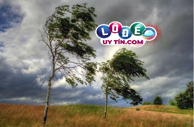 Nằm mơ thấy gió lớn đánh con gì? Là điềm báo tốt hay xấu? 32 Nằm mơ thấy gió lớn đánh con gì? Là điềm báo tốt hay xấu?