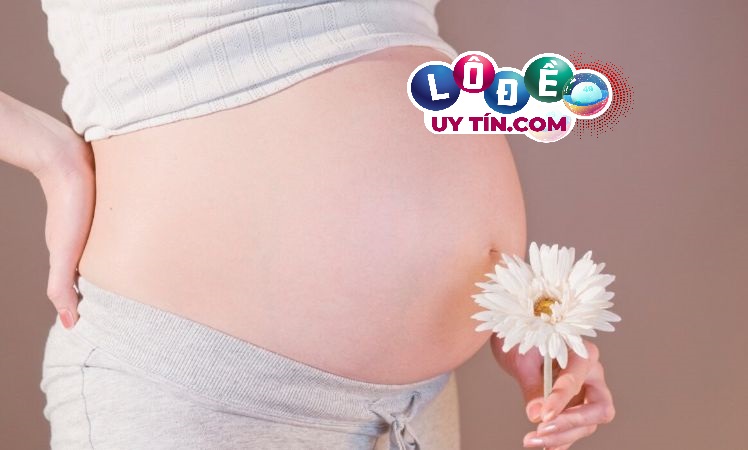 Giải mã mơ thấy bà bầu đánh con gì, là điềm báo gì? 24 Giải mã mơ thấy bà bầu đánh con gì, là điềm báo gì?