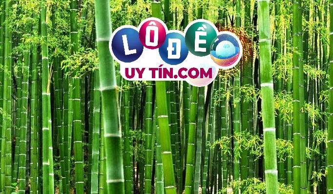 Nằm mơ thấy cây tre thì đánh con gì, là điềm báo gì? 6 Nằm mơ thấy cây tre thì đánh con gì, là điềm báo gì?