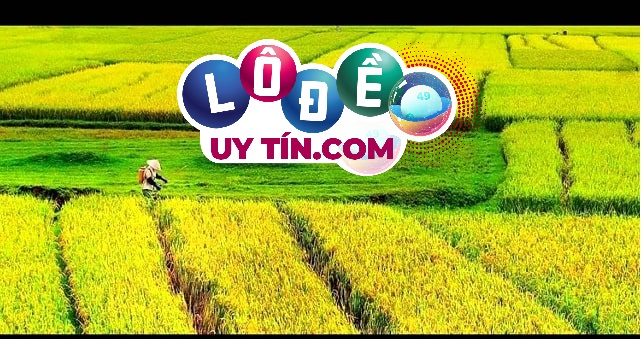 Mơ thấy đất đai có tốt không, đánh con số gì? 10 Mơ thấy đất đai có tốt không, đánh con số gì?
