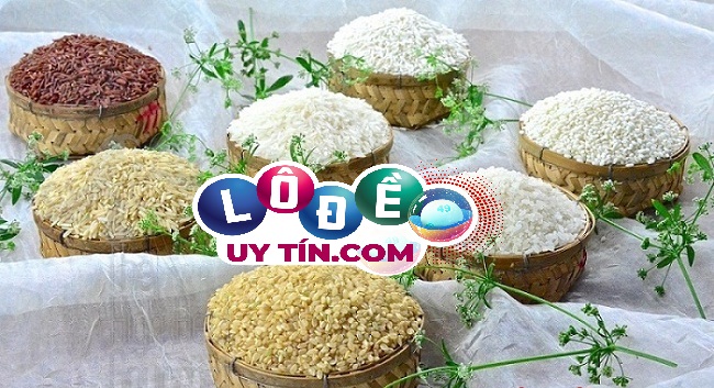 Giải mã mơ thấy gạo là điềm gì, đánh con gì phát tài? 10 Giải mã mơ thấy gạo là điềm gì, đánh con gì phát tài?