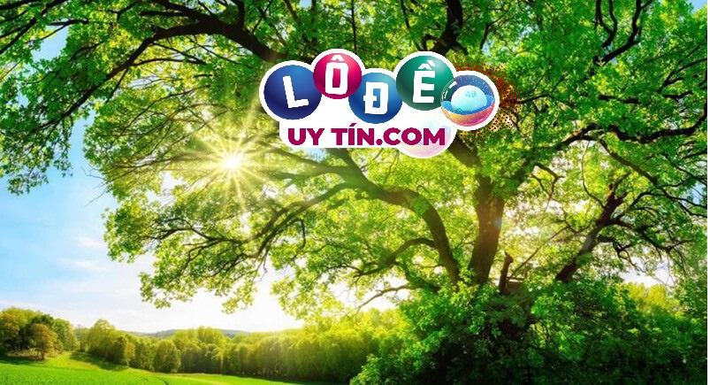 Nằm mơ thấy cây cối là điềm báo gì, đánh số gì? 10 Nằm mơ thấy cây cối là điềm báo gì, đánh số gì?