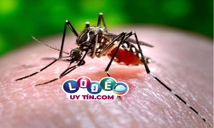 Giải đáp mơ thấy côn trùng, sâu bọ điềm gì, đánh con gì 21 Giải đáp mơ thấy côn trùng, sâu bọ điềm gì, đánh con gì