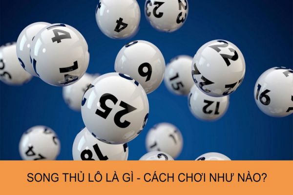 Tổng hợp các kinh nghiệm bắt song thủ lô chuẩn nhất hiện nay 14 kinh-nghiem-bat-song-thu-lo-1