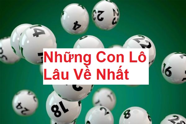 Những con lô lâu về nhất là gì? Cách tìm những con lô này 12 nhung-con-lo-lau-ve-nhat-1