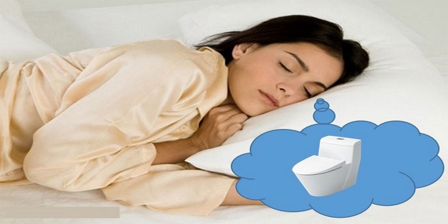 Mơ Chuồng Xí - Giải Mã Giấc Mơ Thấy Chuồng Xí Đánh Con Gì 33 Mơ Chuồng Xí - Giải Mã Giấc Mơ Thấy Chuồng Xí Đánh Con Gì