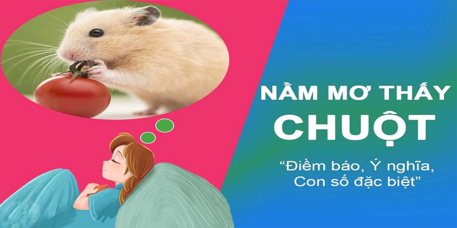 Mơ Chuột Bạch - Giải Mã Ý Nghĩa Giấc Mơ Và Những Con Số May Mắn 25 Mơ Chuột Bạch - Giải Mã Ý Nghĩa Giấc Mơ Và Những Con Số May Mắn